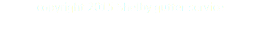copyright 2015 Shelby gutter service